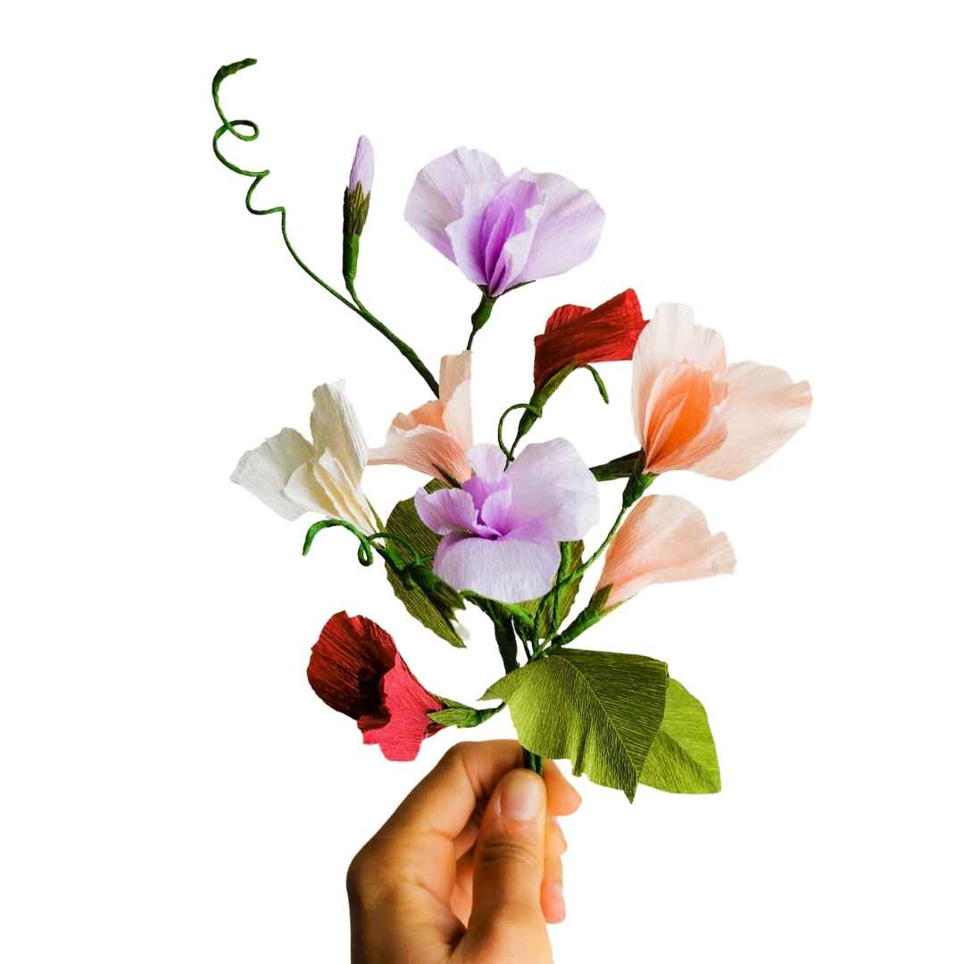 Paper Sweet Pea Workshop: Thurs 27th June | 6.30pm - 8pm | Veg Box Café Exeter