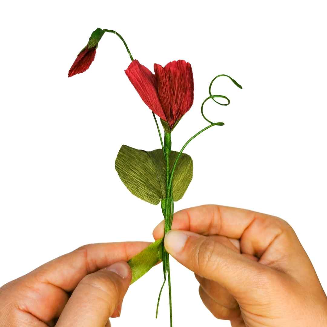 Paper Sweet Pea Workshop: Thurs 27th June | 6.30pm - 8pm | Veg Box Café Exeter