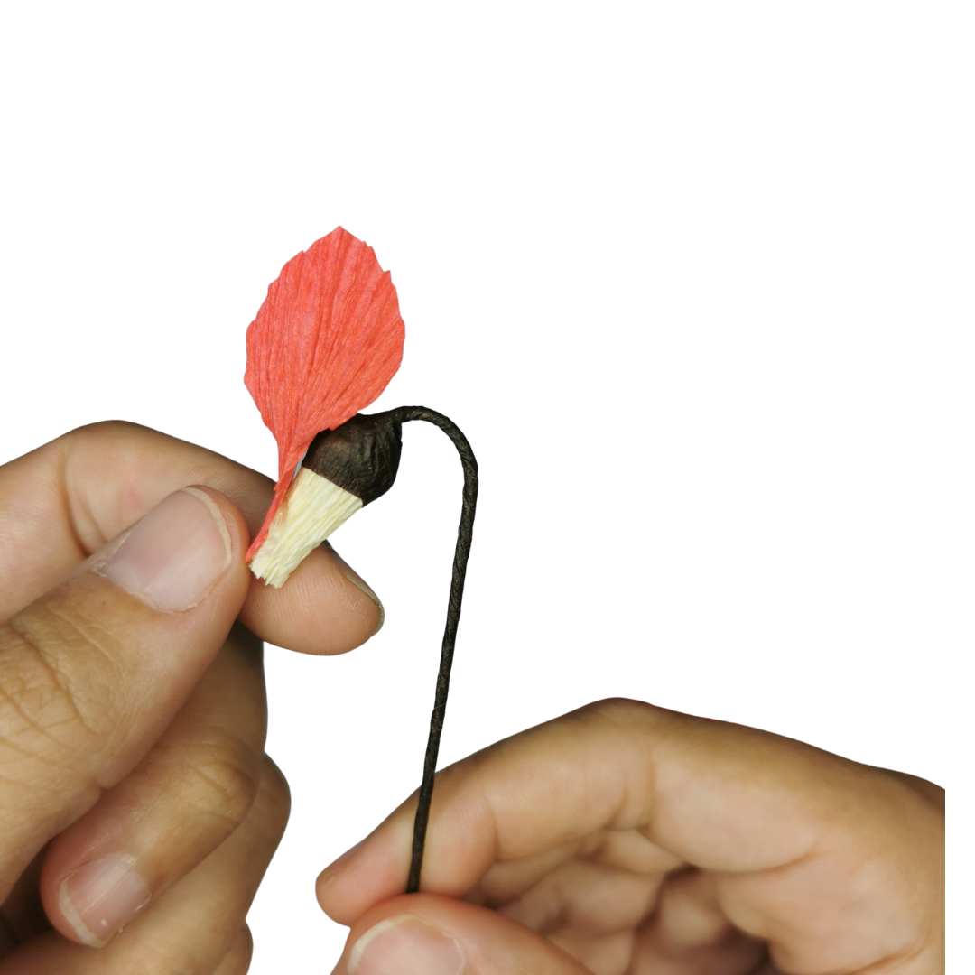 Paper Cyclamen Kit