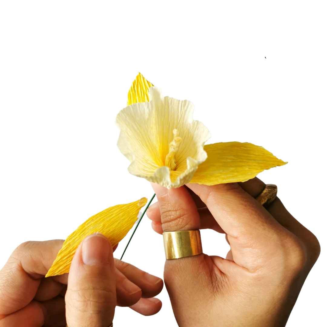 Paper Daffodil Making - DIY Paper Flower Kit by Wild Hive Paper Flowers