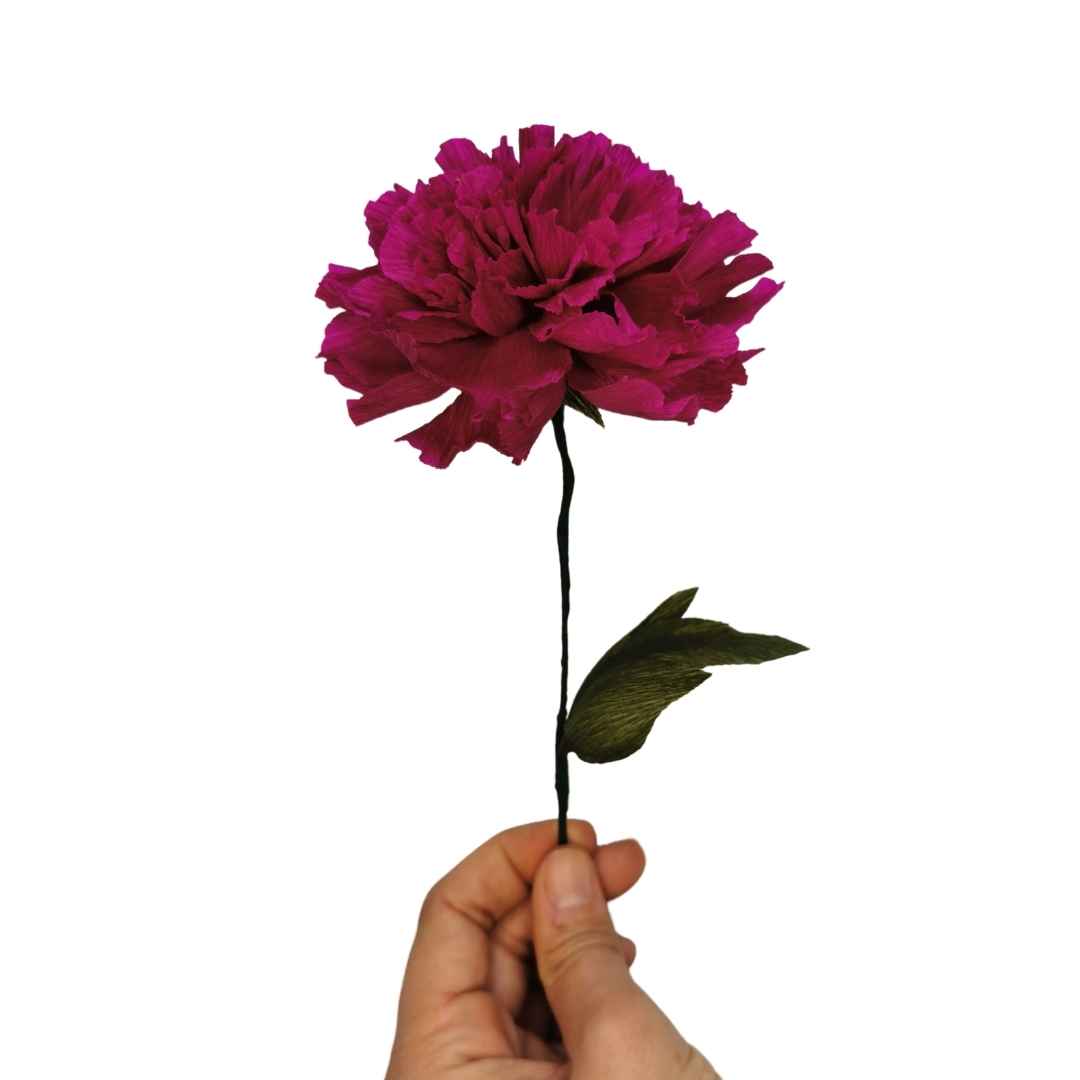Paper Double Peony Kit
