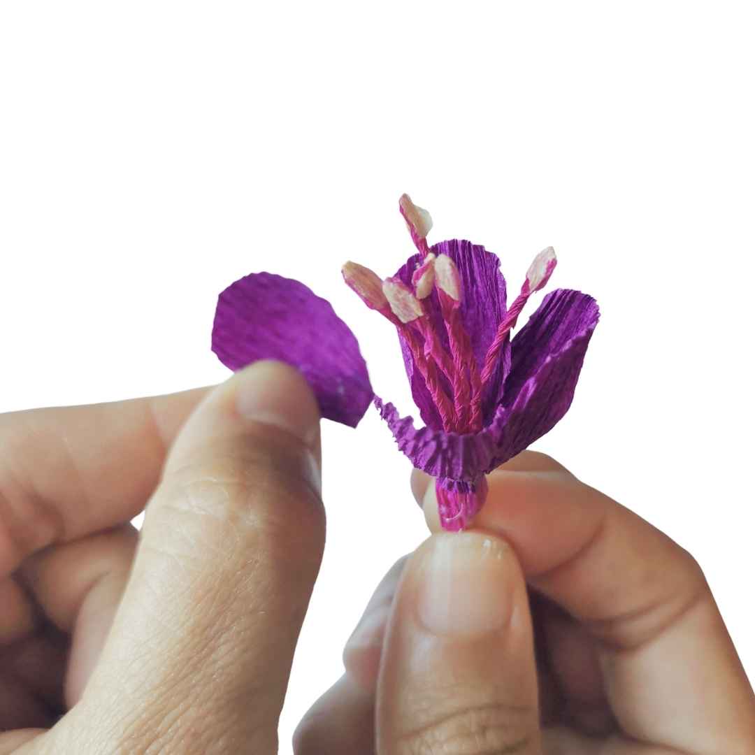 Paper Fuchsia Kit