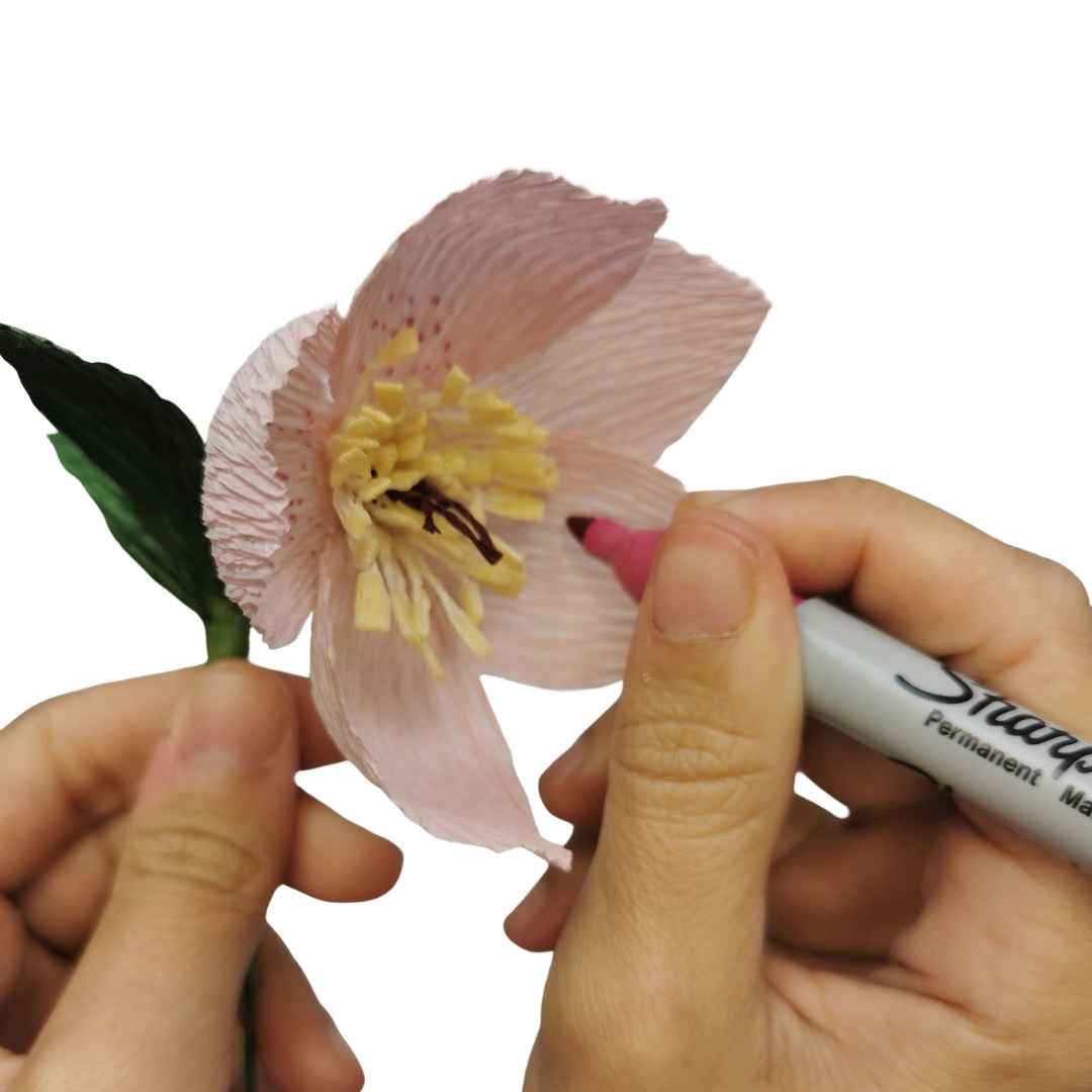 Paper Hellebore Making Kit