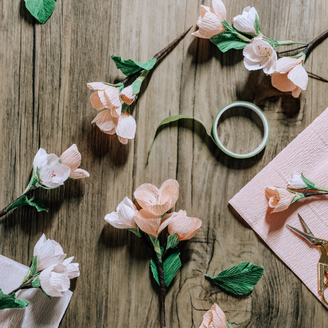 Paper Blossom Workshop: Thurs 25th April | 6.30pm -8pm | Veg Box Café Exeter