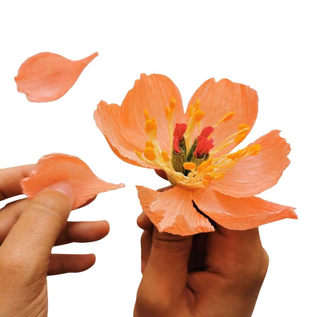 Paper Peony Workshop: Thurs 23rd May | 6.30pm - 8pm | Veg Box Café Exeter