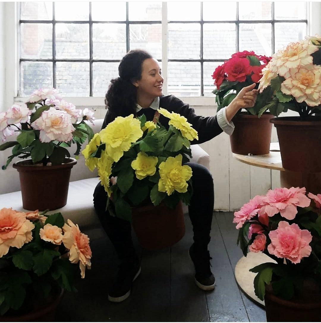Giant Paper Begonias - Wild Hive x QVC Commission