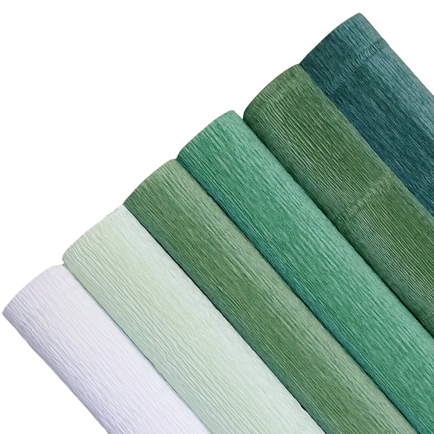 Evergreen Paper Pack