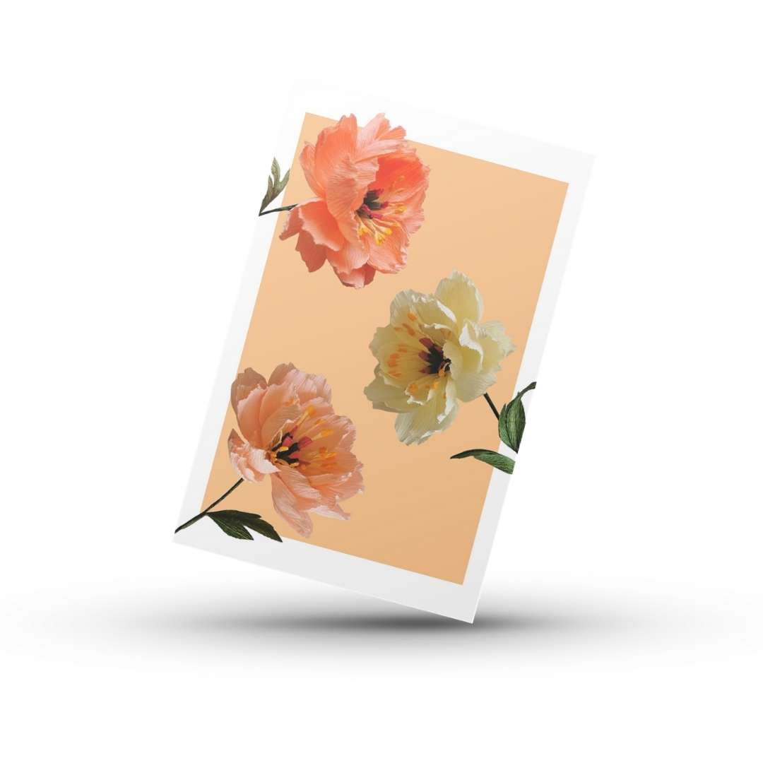 Paper Peony 1.1 | Greetings Card