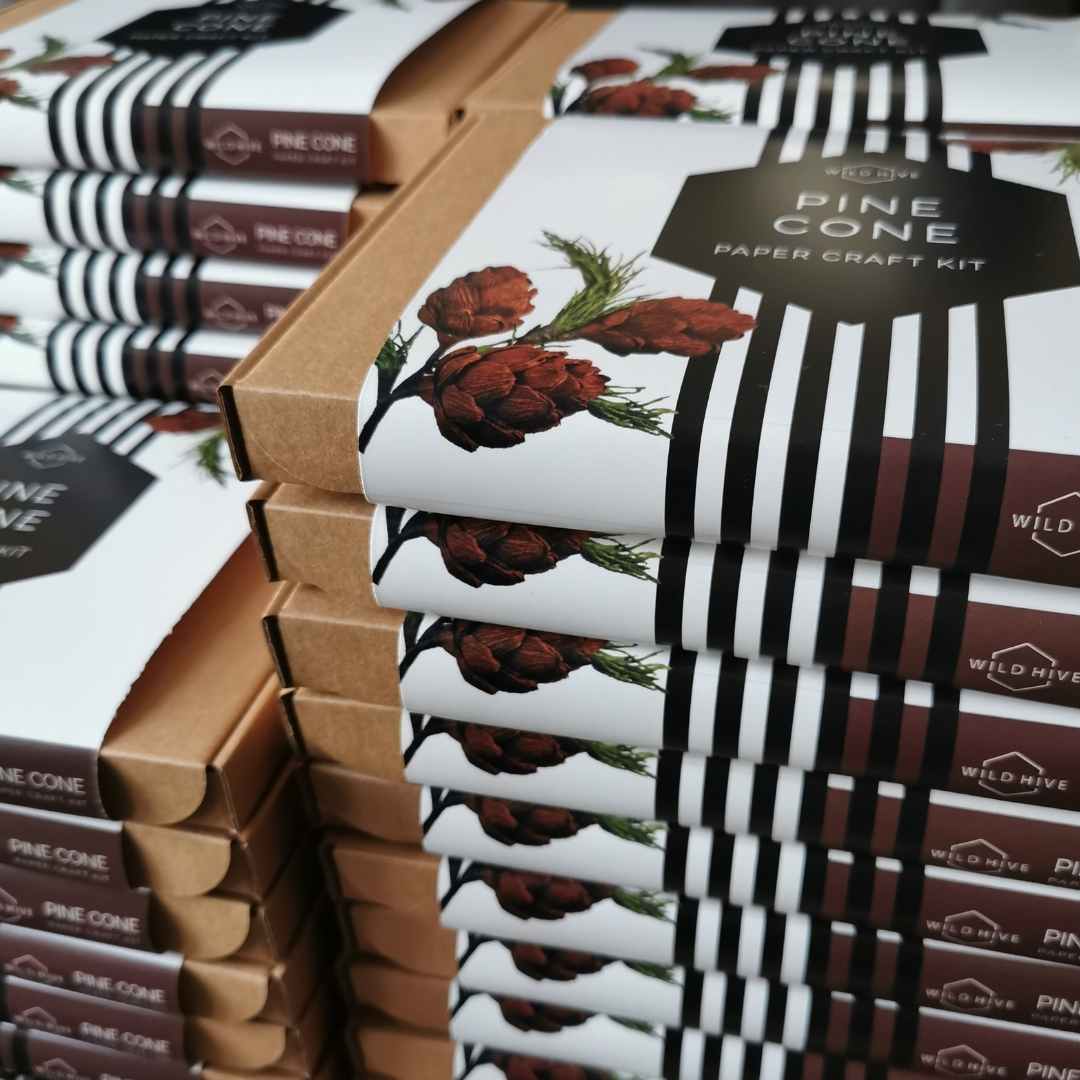 Paper Pine Cone Kit