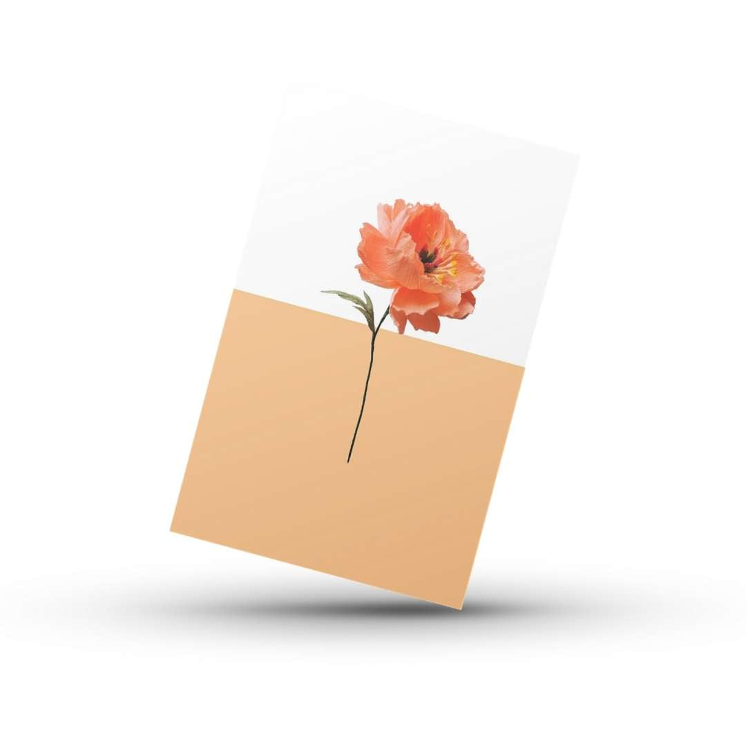 Paper Peony 1.2 | Greetings Card