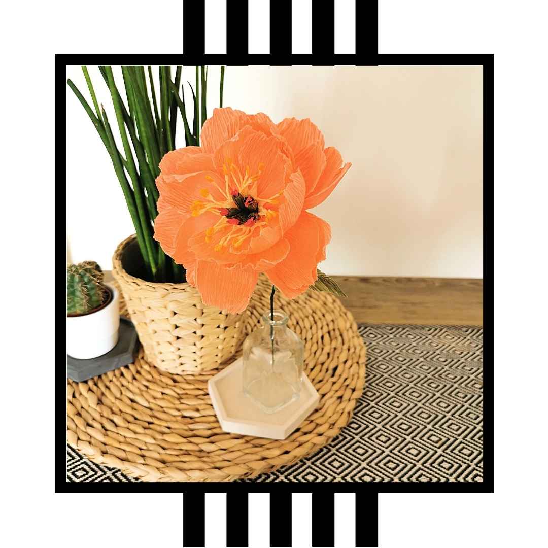 Paper Coral Charm Peony Kit