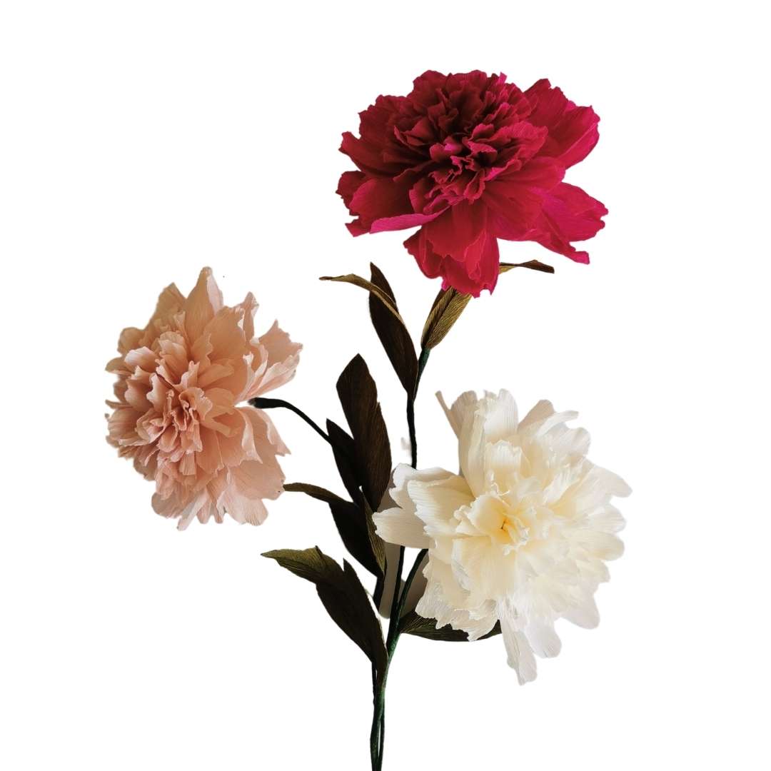 Paper Double Peony Kit