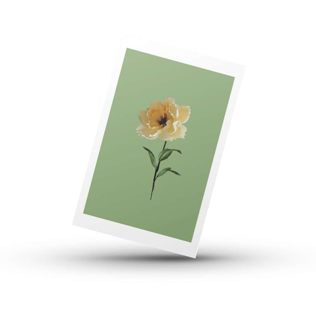 Paper Peony 2.1 | Greetings Card