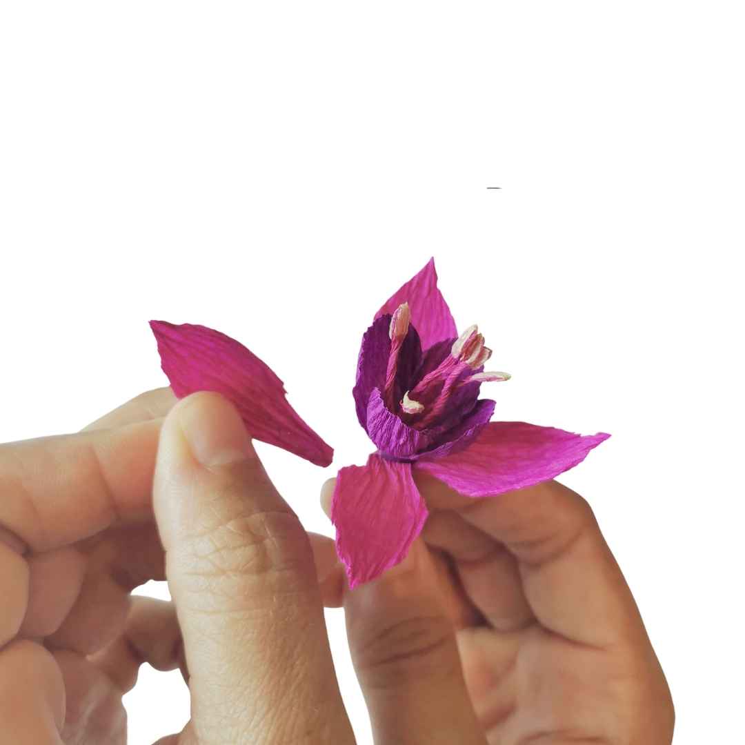 Paper Fuchsia Kit