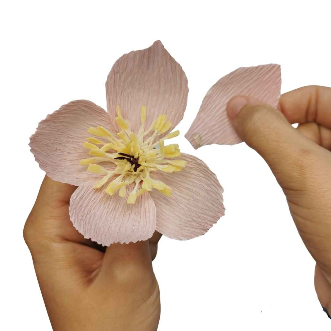 Paper Hellebore Making Kit