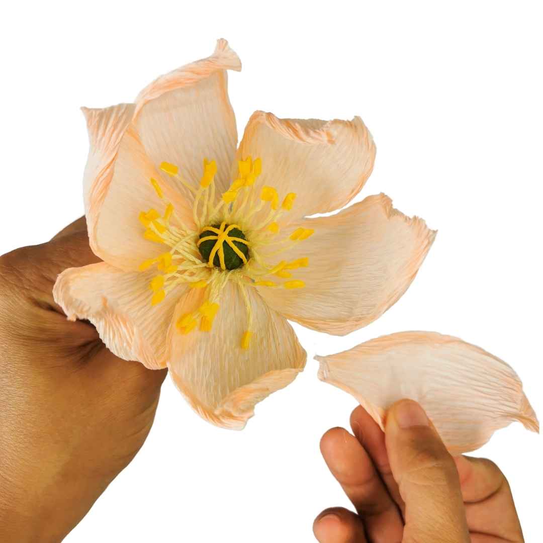 Paper Icelandic Poppy Making - DIY Paper Flower Kit by Wild Hive Paper Flowers