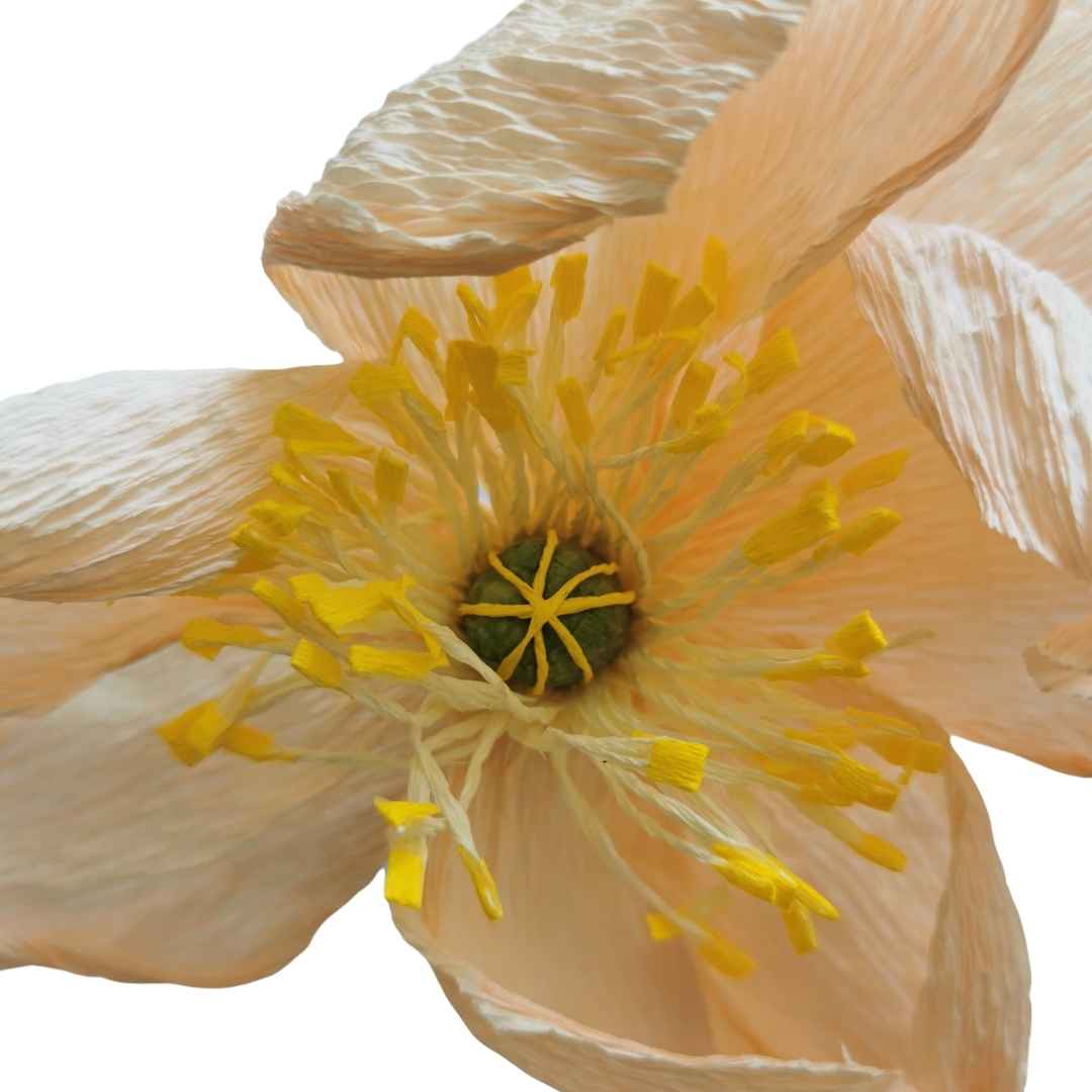 Paper Icelandic Poppy Making - DIY Paper Flower Kit by Wild Hive Paper Flowers