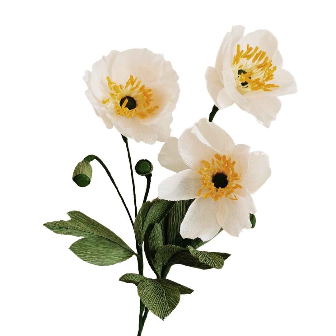 Paper Japanese Anemone Kit