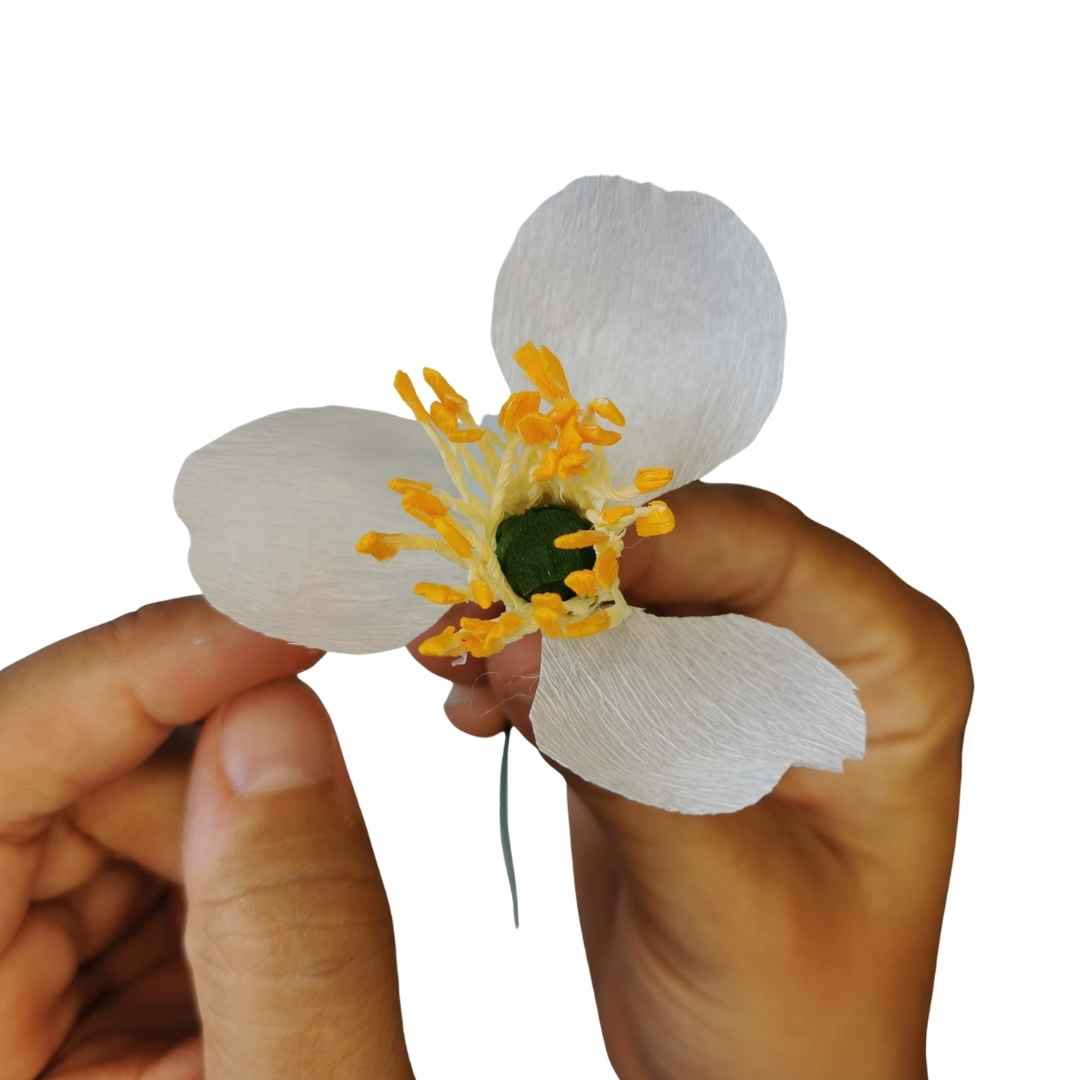 Paper Japanese Anemone Kit