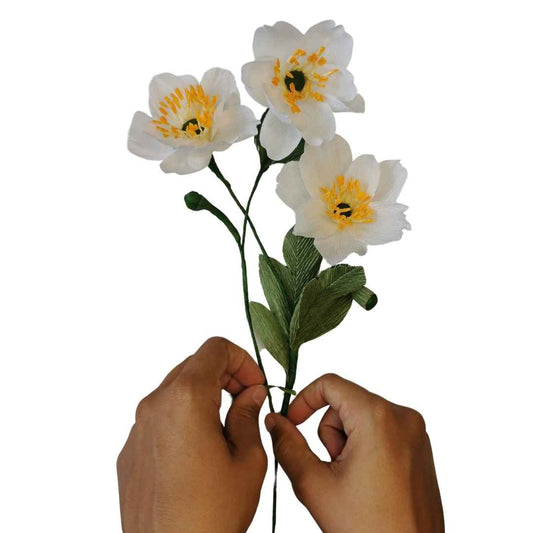 Paper Japanese Anemone Kit