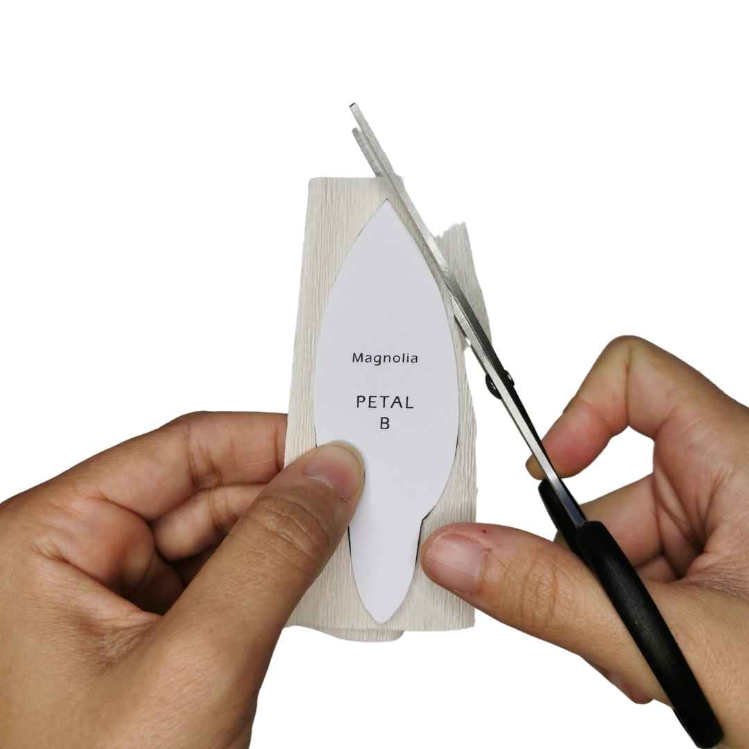 Paper Magnolia Kit