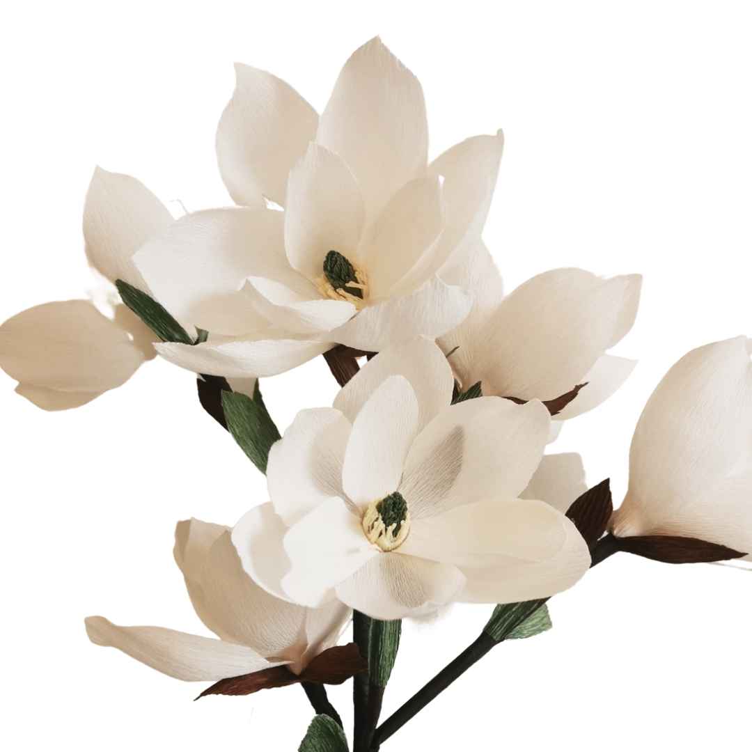 Paper Magnolia Kit