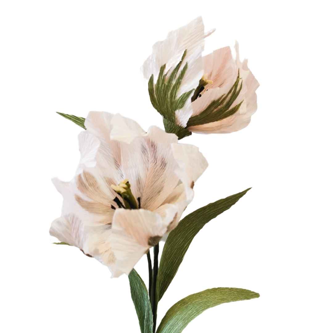 Paper Parrot Tulip Kit