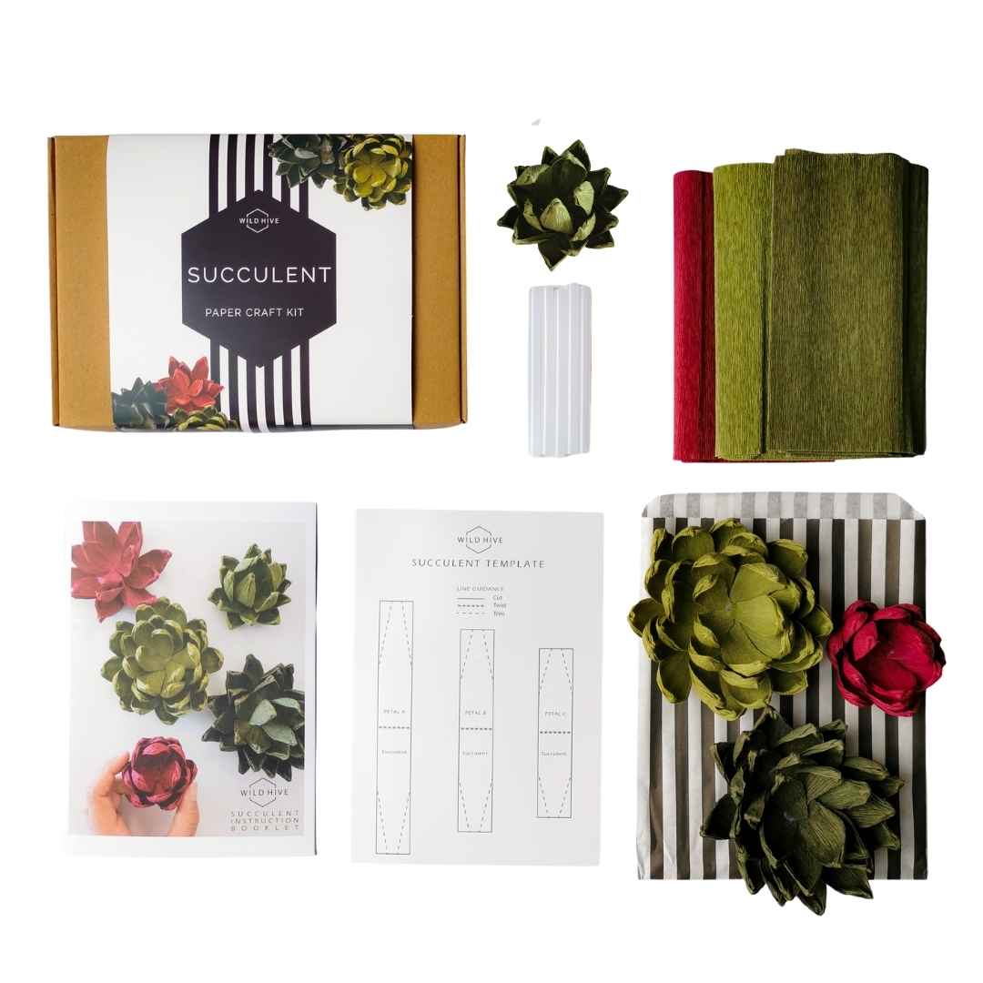Paper Succulent Kit