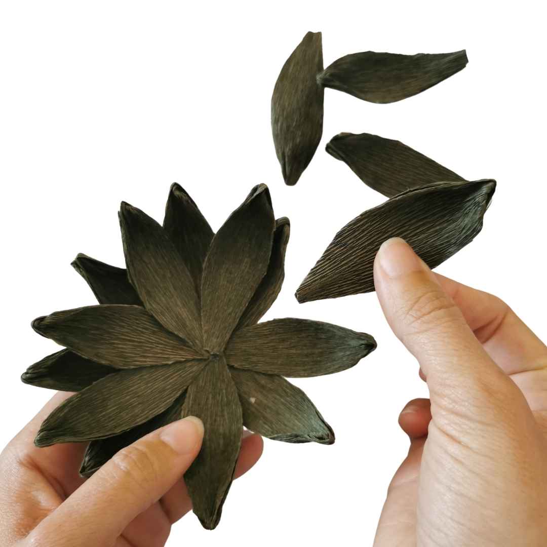 Paper Succulent Kit