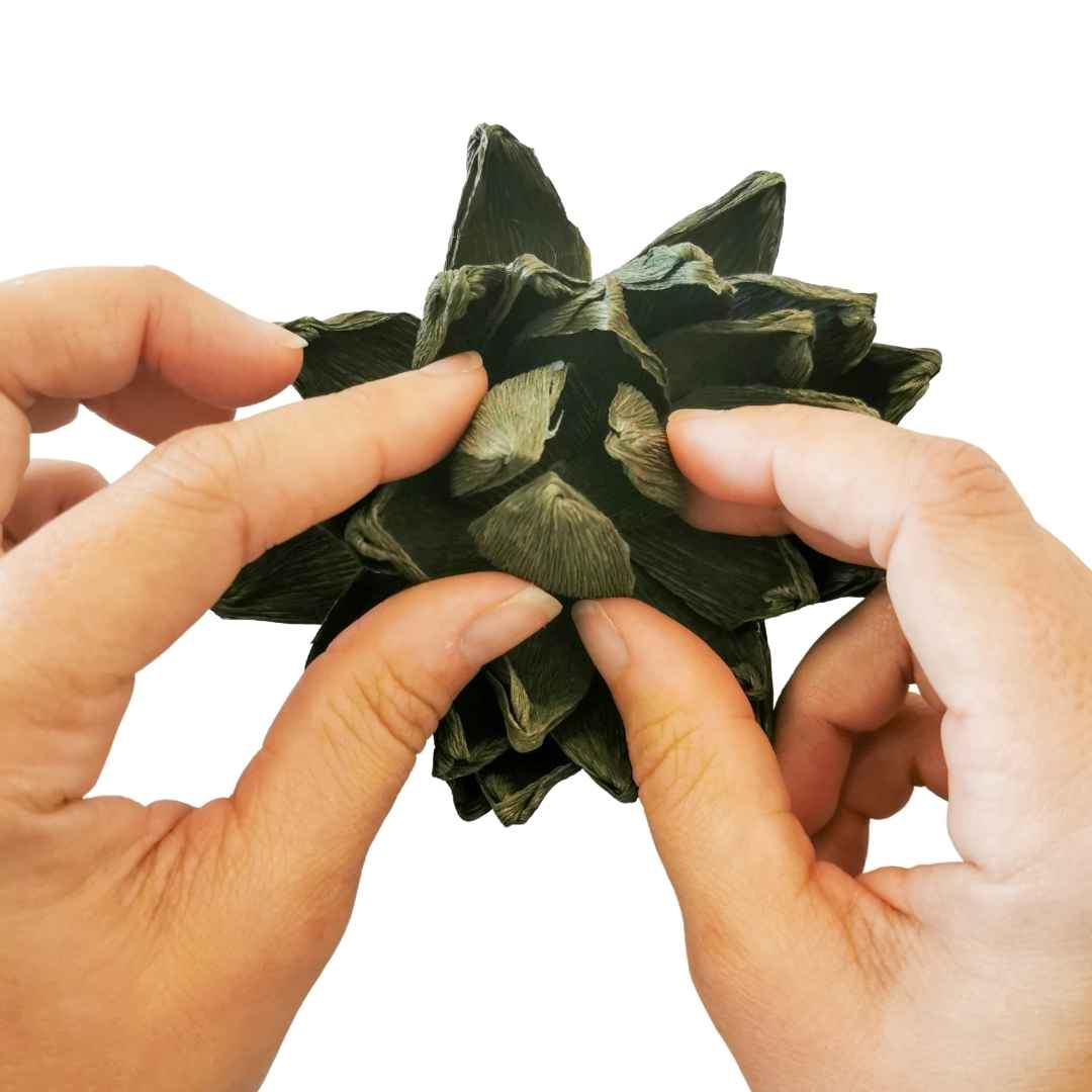 Paper Succulent Kit