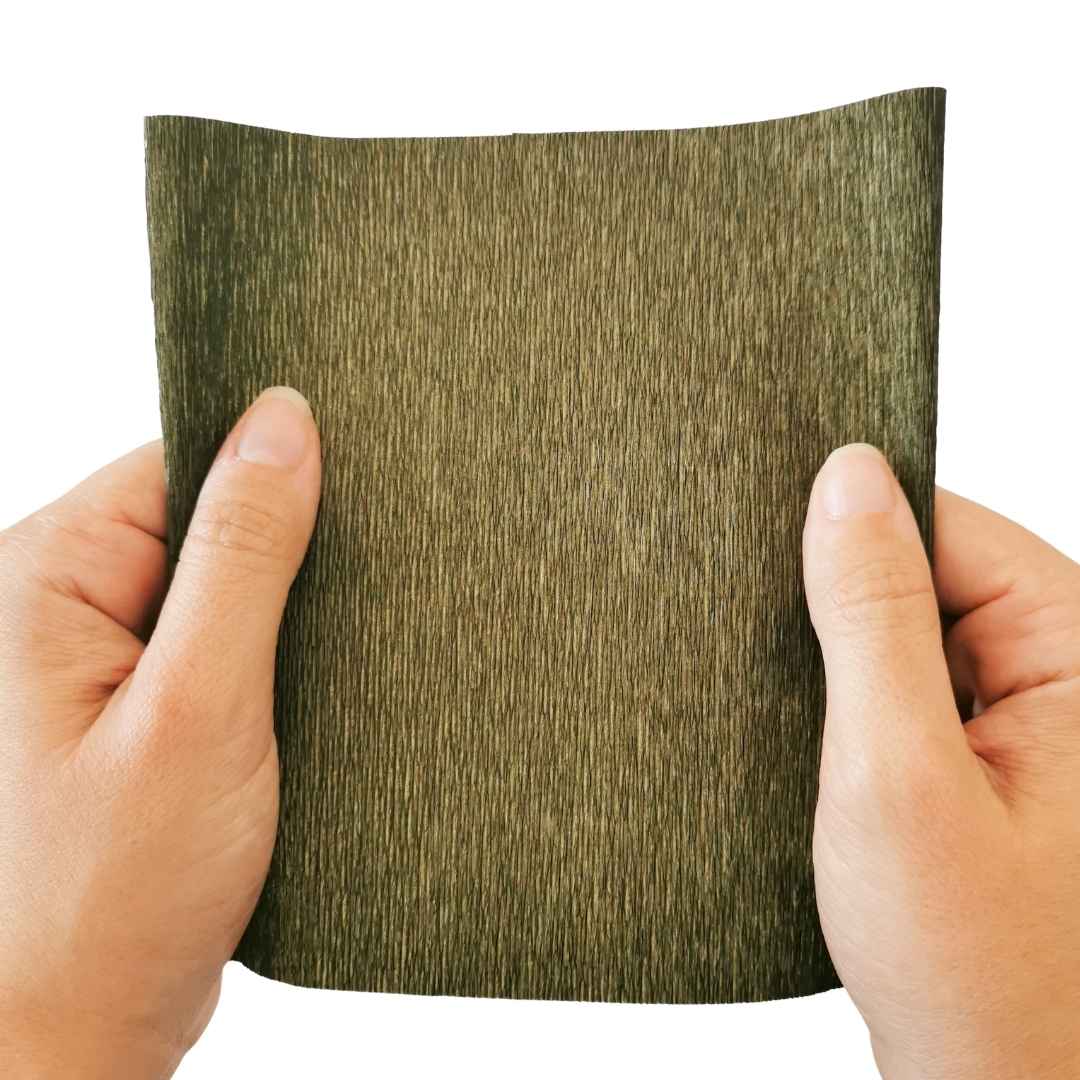 Paper Succulent Kit