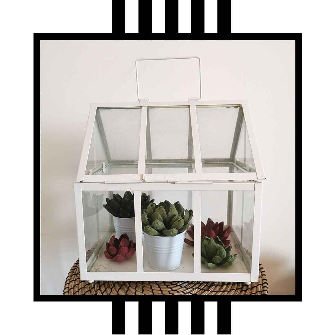 Paper Succulent Kit