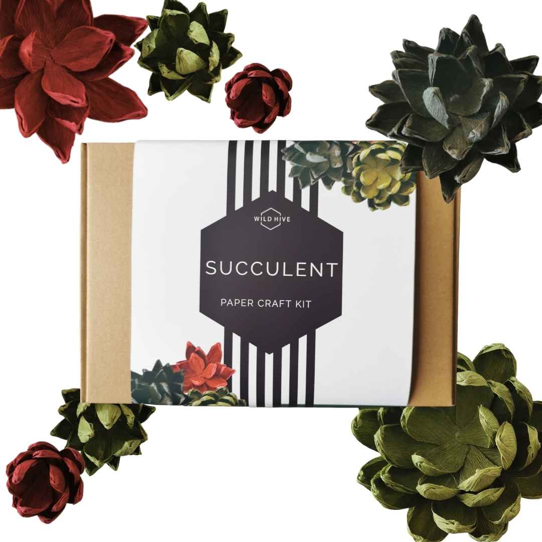 Paper Succulent Kit
