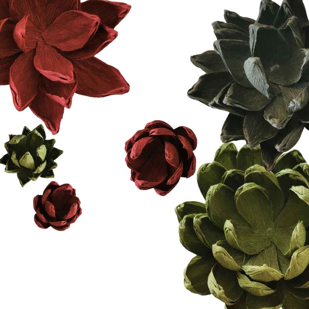 Paper Succulent Kit