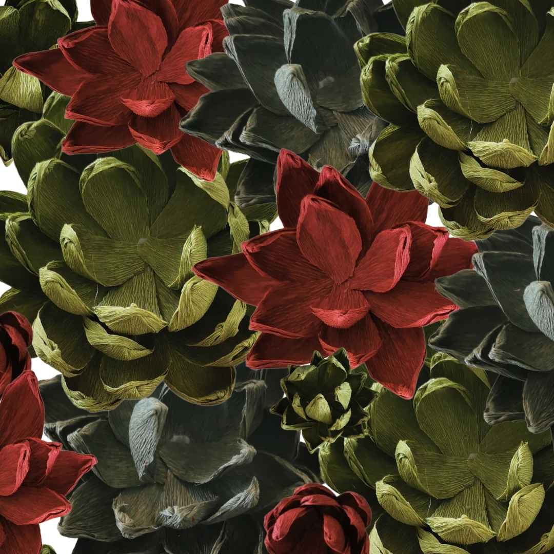 Paper Succulent Kit