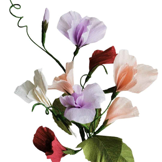 Paper Sweet Pea Making - DIY Paper Flower Kit by Wild Hive Paper Flowers