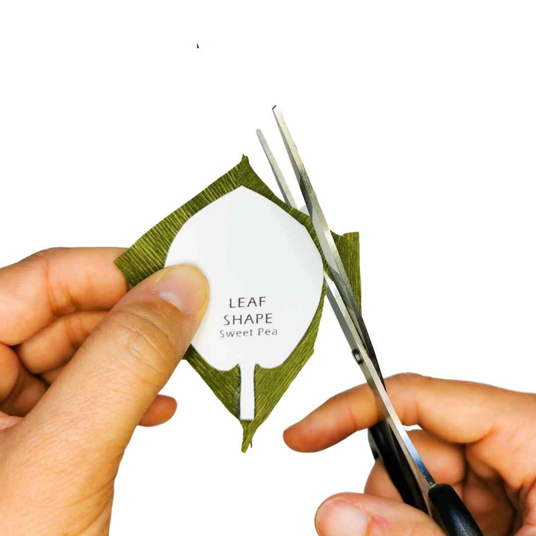 Paper Sweet Pea Making - DIY Paper Flower Kit by Wild Hive Paper Flowers